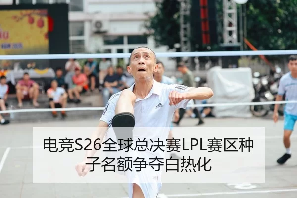 dian-jing-quan-qiu-zong-jue-sai-sai-qu-zhong-zi-ming-e-zheng-duo-bai-re-hua-2-595.jpg